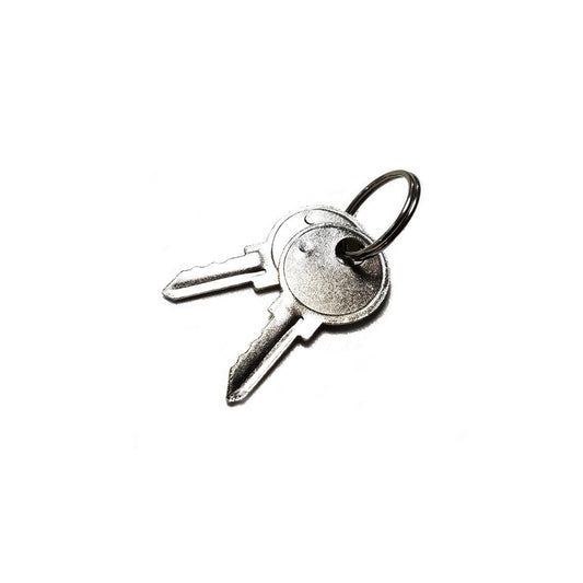 CS30 Replacement Keys - ClockingSystems